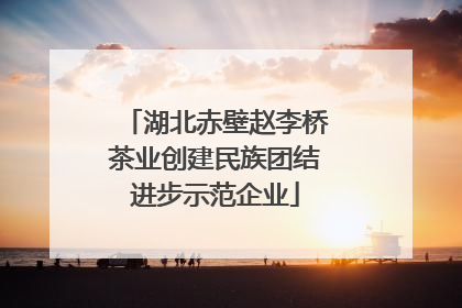 湖北赤壁赵李桥茶业创建民族团结进步示范企业